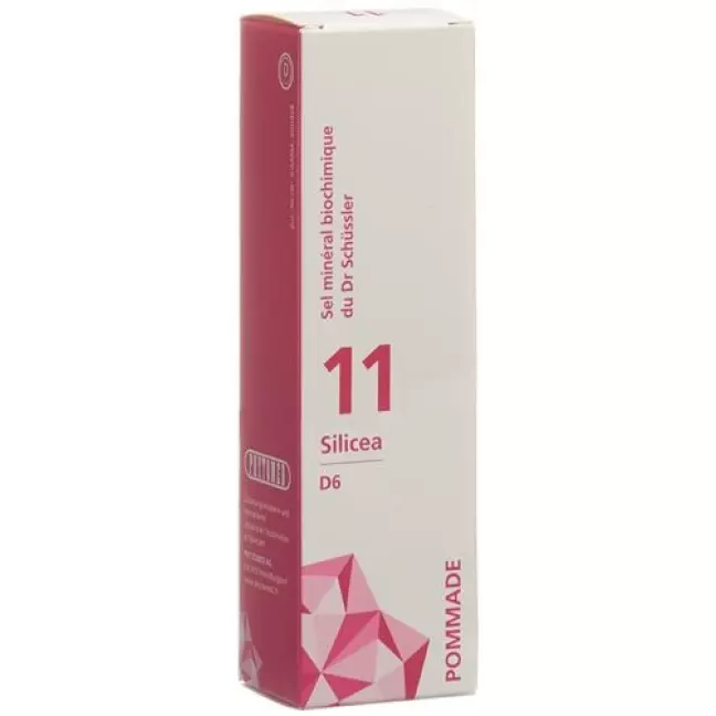 ФІТОМЕД ШЮССЛЕР Nr11 Silicea мазь D 6 75 г ФІТОМЕД ШЮССЛЕР Nr11 Silicea мазь D 6 75 г
