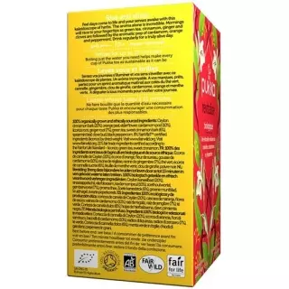 Органічний пакет Pukka Revitalize Thé 20 шт