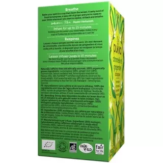 Органічний пакет Pukka Citronnelle et Gingembre Thé 20 шт