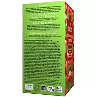 Органічний пакет Pukka Pomme Sauvage Cannelle et Gingembre Thé 20 шт