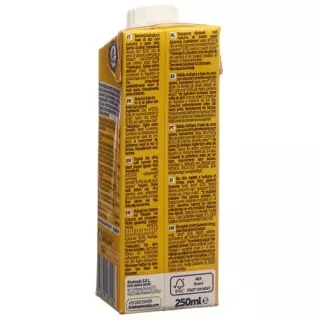 Рисовий напій Isola Bio Golden Drink з куркумою Tetra 250 мл