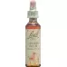 Bachbluten Cherry Plum Nr. 6 жидкость 20мл Bachbluten Cherry Plum Nr. 6 жидкость 20мл