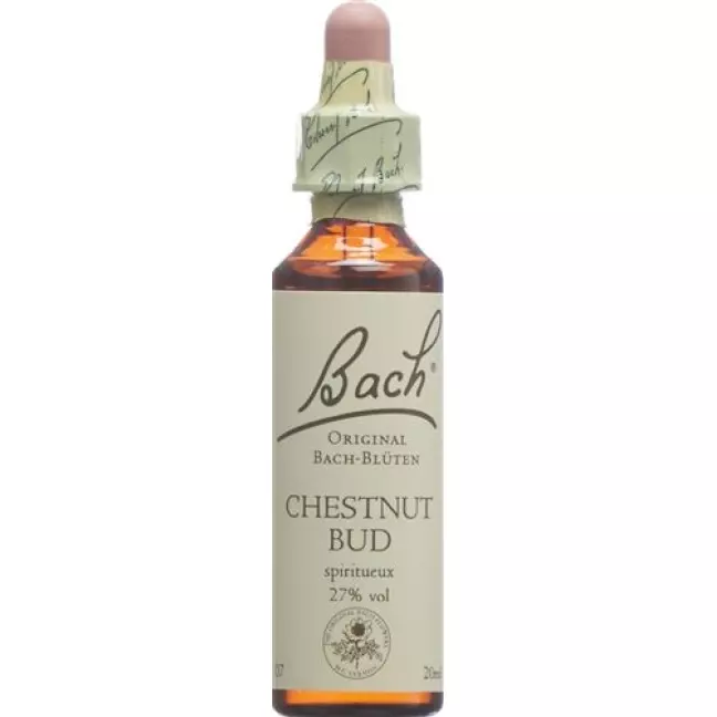 Bach Flowers Original Chestnut Bud No07 20 мл