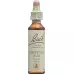 Bach Flowers Original Chestnut Bud No07 20 мл