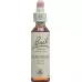 Bach-Bluten Original Hornbeam Nr.17 20мл