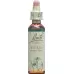 Bach Flowers Original Holly No15 20 мл