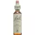 Bachbluten Red Chestnut Nr. 25 жидкость 20мл