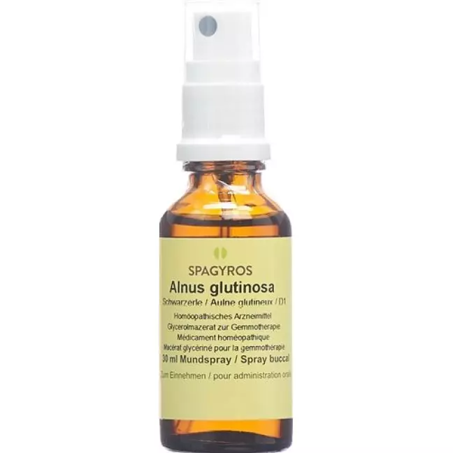 Spagyros Gemmo Alnus glutinosa Glyc Maz D 1 30 мл