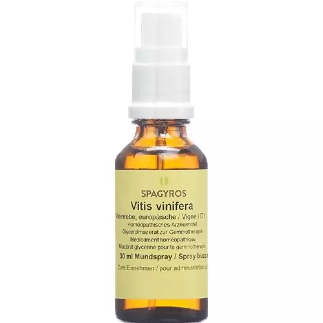 Spagyros Gemmo Vitis vinifera Glyc Maz D 1 30 мл