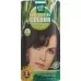 HENNA PLUS Long Last Color 5.3 світло-золотисто-коричневий
