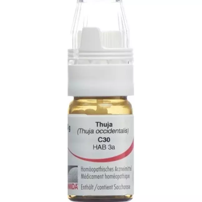 Omida Thuja шарики C 30 м 4г Omida Thuja шарики C 30 м 4г