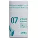 Phytomed Schussler Komplex No 7 таблеток доза 300 штук Phytomed Schussler Komplex No 7 таблеток доза 300 штук