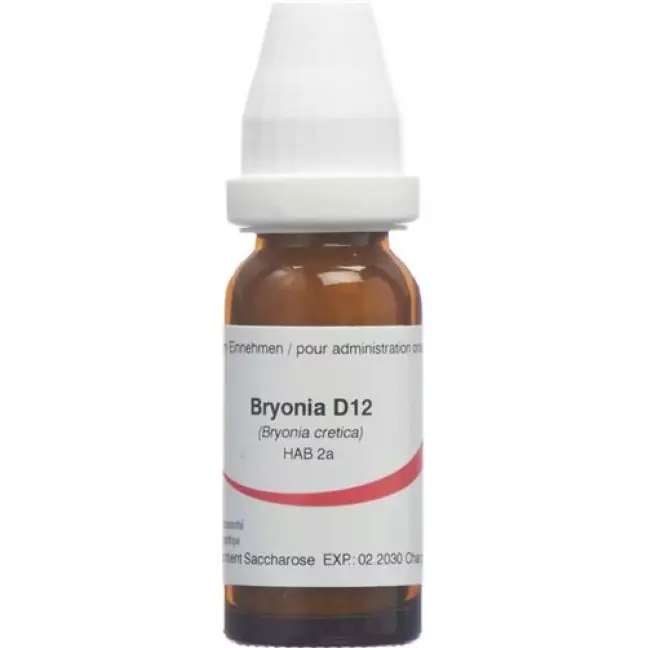 OMIDA BRYONIA D12 OMIDA BRYONIA D12