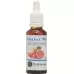 Grapax Grapefruit-kern-extrakt 99% Akt Bio 30мл Grapax Grapefruit-kern-extrakt 99% Akt Bio 30мл