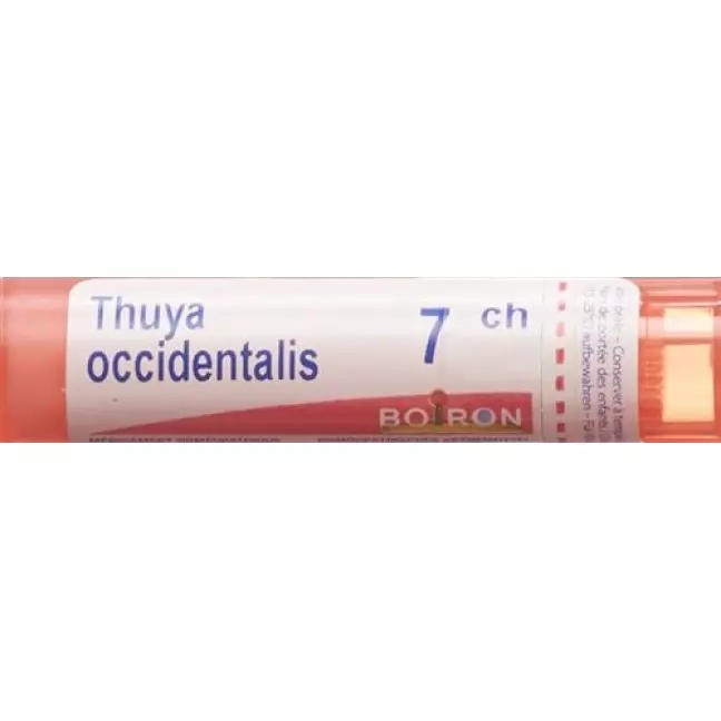 Boiron Thuya Occidentalis в гранулах C 7 4г Boiron Thuya Occidentalis в гранулах C 7 4г