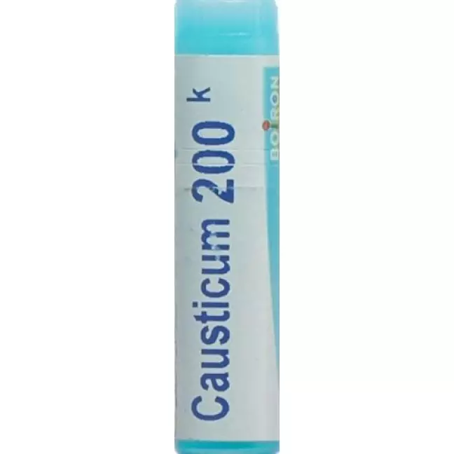 Boiron Causticum Glob 200 K 1 доз Boiron Causticum Glob 200 K 1 доз