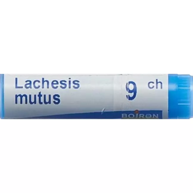 Boiron Lachesis mutus Glob C 9 1 Dos Boiron Lachesis mutus Glob C 9 1 Dos