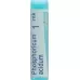 Boiron Phosphoricum acidum Glob MK 1 Dos Boiron Phosphoricum acidum Glob MK 1 Dos