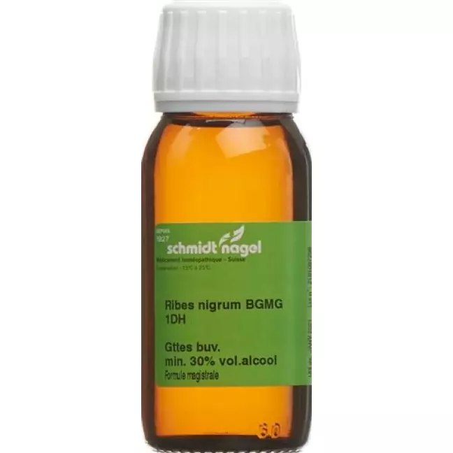 SN RIBES NIGRUM BG GLYC MAZ D1 SN RIBES NIGRUM BG GLYC MAZ D1