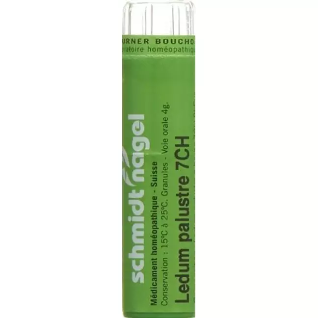Sn Ledum Palustre в гранулах Ch 7 4г Sn Ledum Palustre в гранулах Ch 7 4г