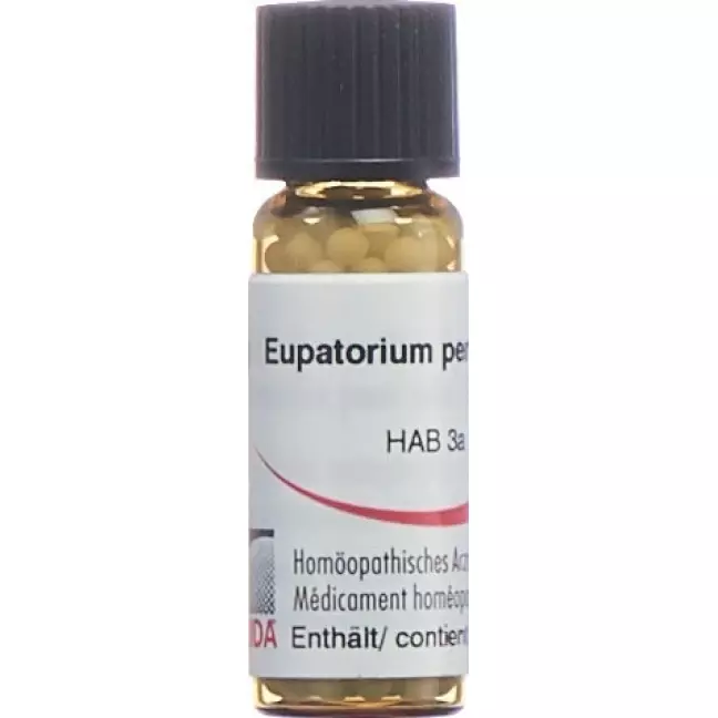 Оміда Eupatorium perfoliatum Glob C 30 2 г Оміда Eupatorium perfoliatum Glob C 30 2 г