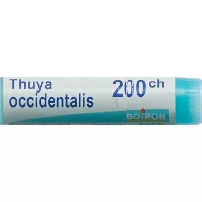 Буарон Thuya occidentalis Glob C 200 1 Dos Буарон Thuya occidentalis Glob C 200 1 Dos