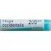 Буарон Thuya occidentalis Glob C 200 1 Dos Буарон Thuya occidentalis Glob C 200 1 Dos
