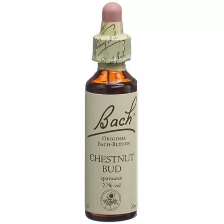 Bach Flowers Original Chestnut Bud No07 20 мл
