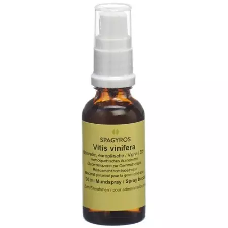 Spagyros Gemmo Vitis vinifera Glyc Maz D 1 30 мл