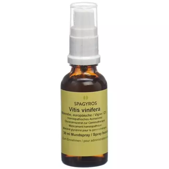 Spagyros Gemmo Vitis vinifera Glyc Maz D 1 30 мл