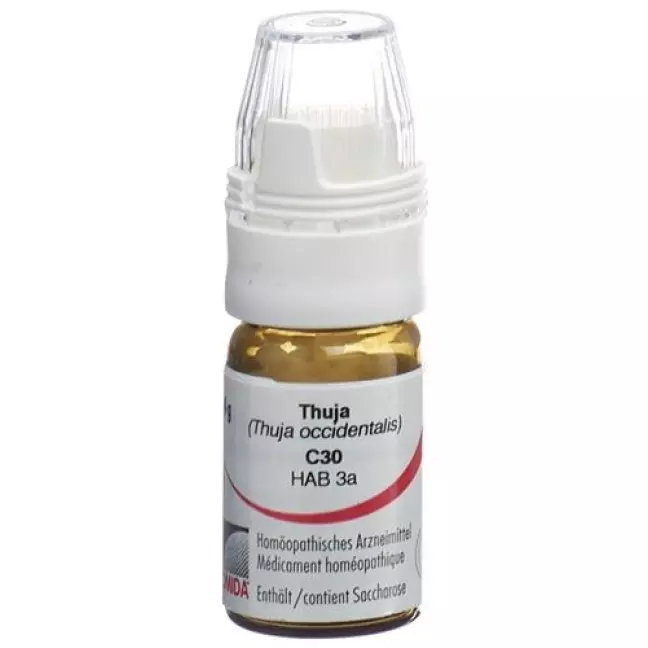 Omida Thuja шарики C 30 м 4г Omida Thuja шарики C 30 м 4г