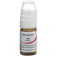 Оміда Bellis perennis Glob C 30 з дозатором 4 г