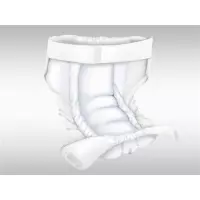 ABRI WING M GUERTEL PR 110-160