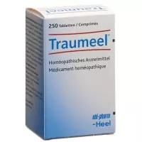 Траумель таблетки Дс 250 шт