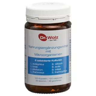 Доктор. Капсули мікроорганізмів Wolz 120 шт