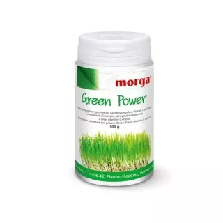 Morga Green Power Plv Ds 100 г