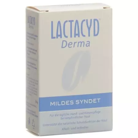 Lactacyd Derma Mildes Syndet 100г Lactacyd Derma Mildes Syndet 100г