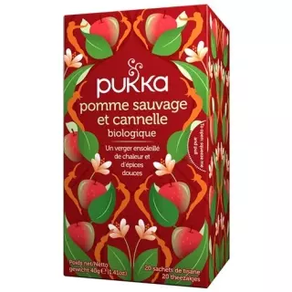 Органічний пакет Pukka Pomme Sauvage Cannelle et Gingembre Thé 20 шт