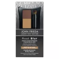 JOHN F R.BLUR ANSATZCONC HELL-