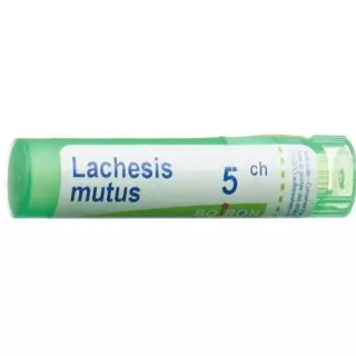 Буарон Lachesis mutus Gran C 5 4 г