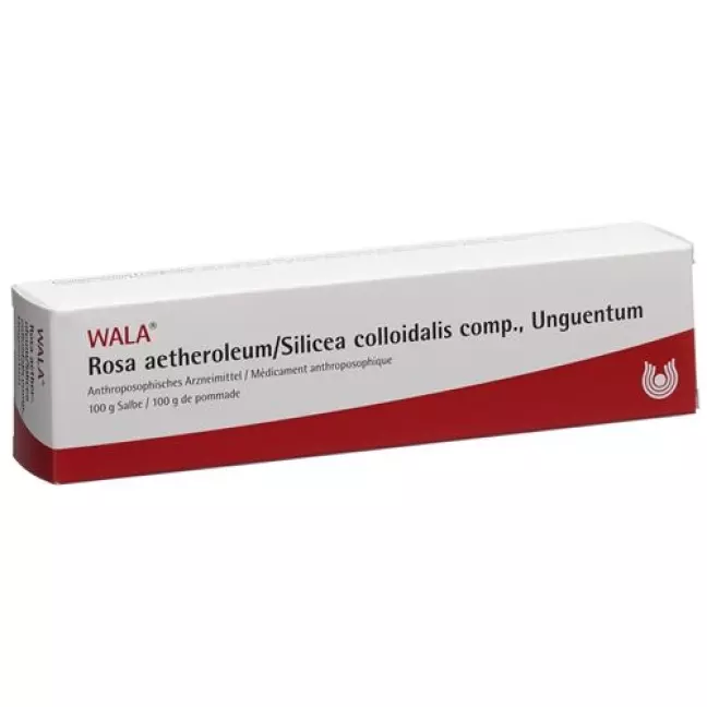 Wala Rosae aetherolum/Silicea colloidalis мазь комп. ТБ 100г Wala Rosae aetherolum/Silicea colloidalis мазь комп. ТБ 100г