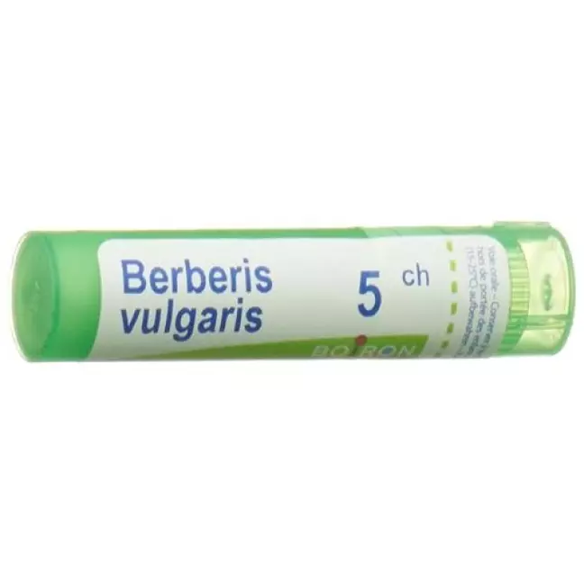 Барбарис звичайний (Boiron Berberis vulgaris Gran C 5) 4 г Барбарис звичайний (Boiron Berberis vulgaris Gran C 5) 4 г