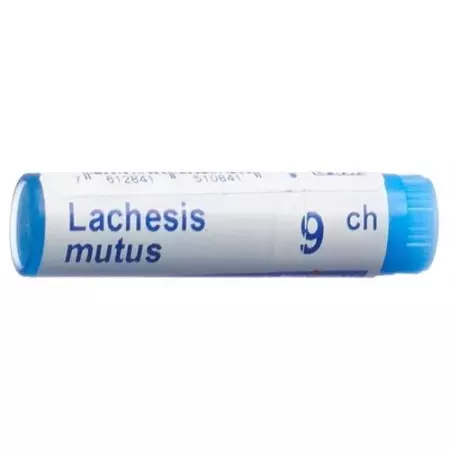 Boiron Lachesis mutus Glob C 9 1 Dos Boiron Lachesis mutus Glob C 9 1 Dos
