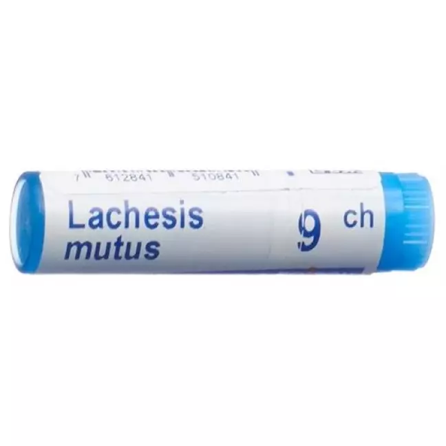 Boiron Lachesis mutus Glob C 9 1 Dos Boiron Lachesis mutus Glob C 9 1 Dos
