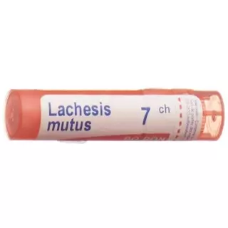 Буарон Lachesis mutus Gran C 7 4 г