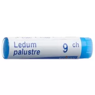 Boiron Ledum palustre Glob C 9 1 Dos