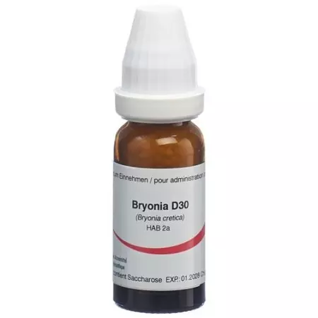 OMIDA BRYONIA GLOB D 30 14