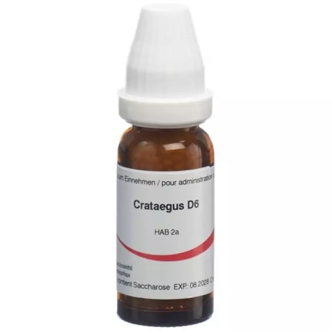 Omida Crataegus Glob D 6 2 г