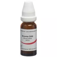 OMIDA BRYONIA GLOB C 200 1