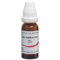 OMIDA APIS MELLIFICA GLOB